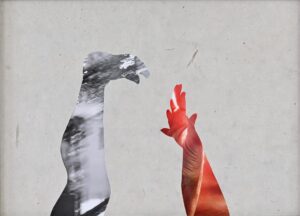 Collage, gemaakt door Alef Aks, met handen en voeten